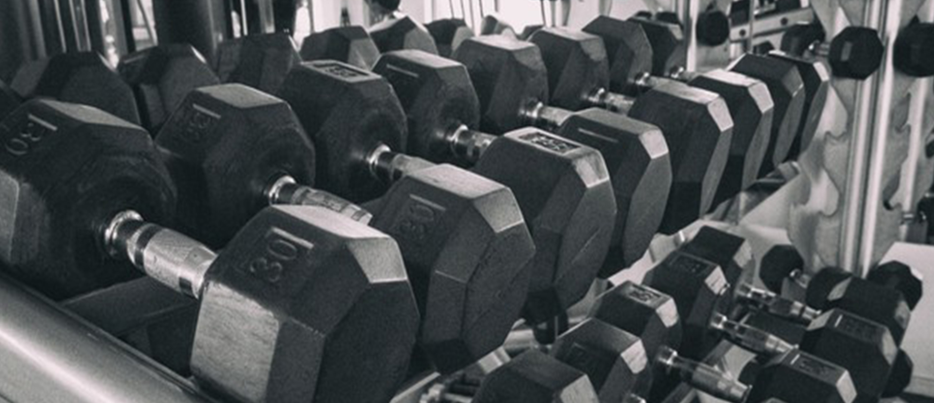 Gym Equipments Repair And Service
